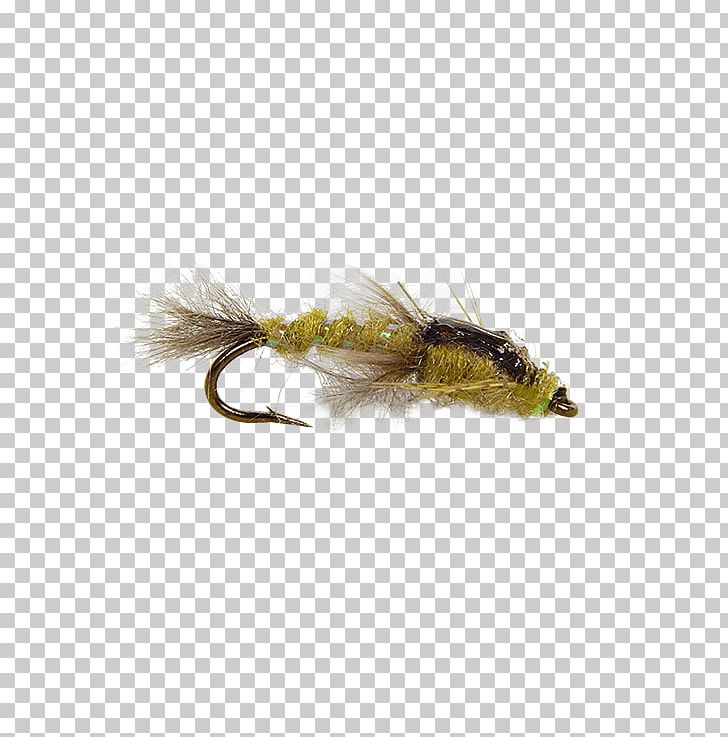 Hare's Ear Insect Artificial Fly Nymph Holly Flies PNG, Clipart, Animals, Artificial Fly, Chartreuse, Chernobyl Disaster, Copper Free PNG Download