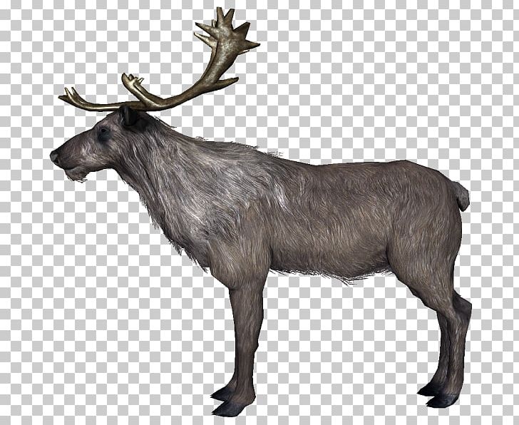 Reindeer Food Chain The Elder Scrolls V: Skyrim Antler PNG, Clipart, Animal, Antler, Black Panther, Cartoon, Chain Free PNG Download