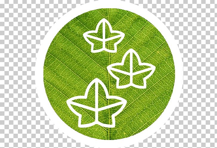 Symbol Logo Leaf PNG, Clipart, Grass, Green, Leaf, Logo, Plant Free PNG Download