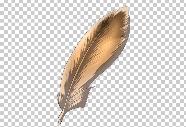 Feather PNG, Clipart, Brown Feathers, Feather, Quill, Wing Free PNG Download