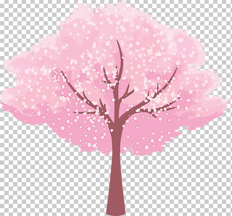 Cherry Blossom PNG, Clipart, Blossom, Branch, Cherry Blossom, Floral, Flower Free PNG Download