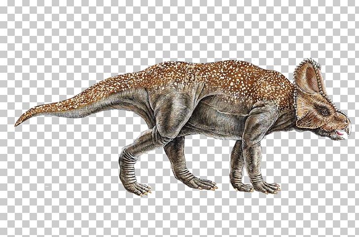 Avaceratops Utahceratops Late Cretaceous Einiosaurus PNG, Clipart, Animal Figure, Avaceratops, Ceratops, Dinosaur, Dinosaurs Free PNG Download