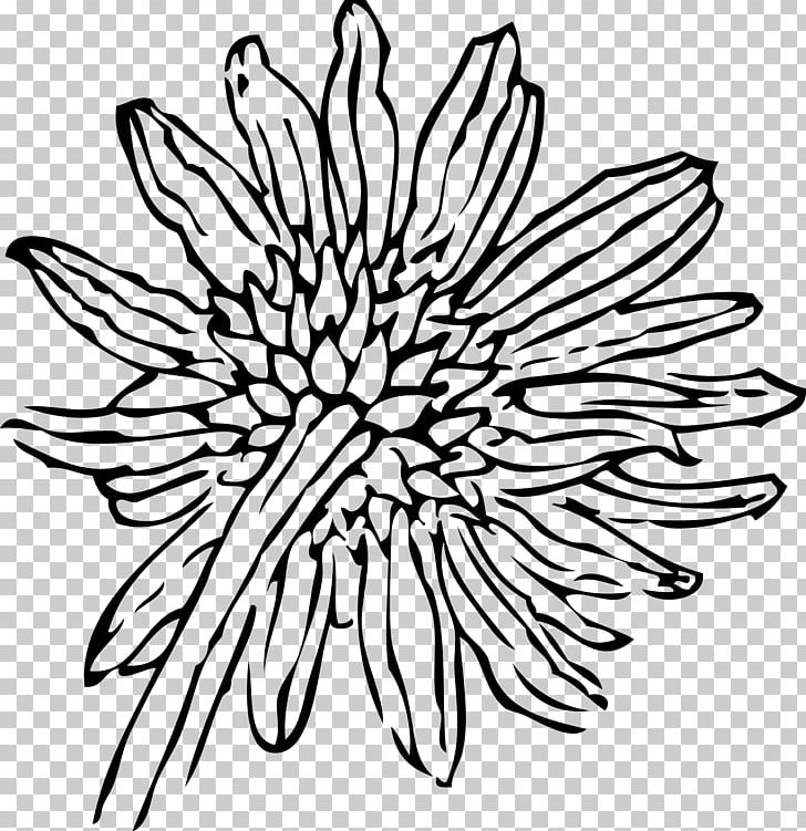Drawing PNG, Clipart, Black, Black And White, Chrysanths, Circle, Common Sunflower Free PNG Download