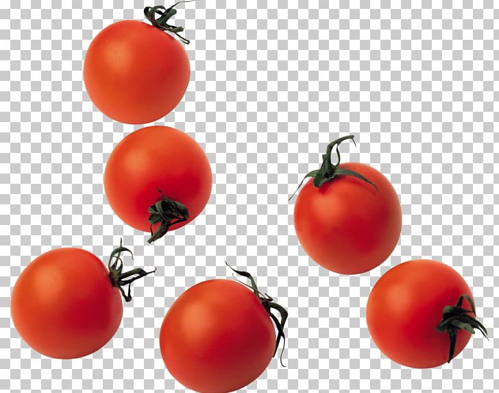 Cherry Tomato Vegetable Food Roma Tomato PNG, Clipart, Bush Tomato, Cherry Tomato, Cranberry, Diet Food, Domates Free PNG Download