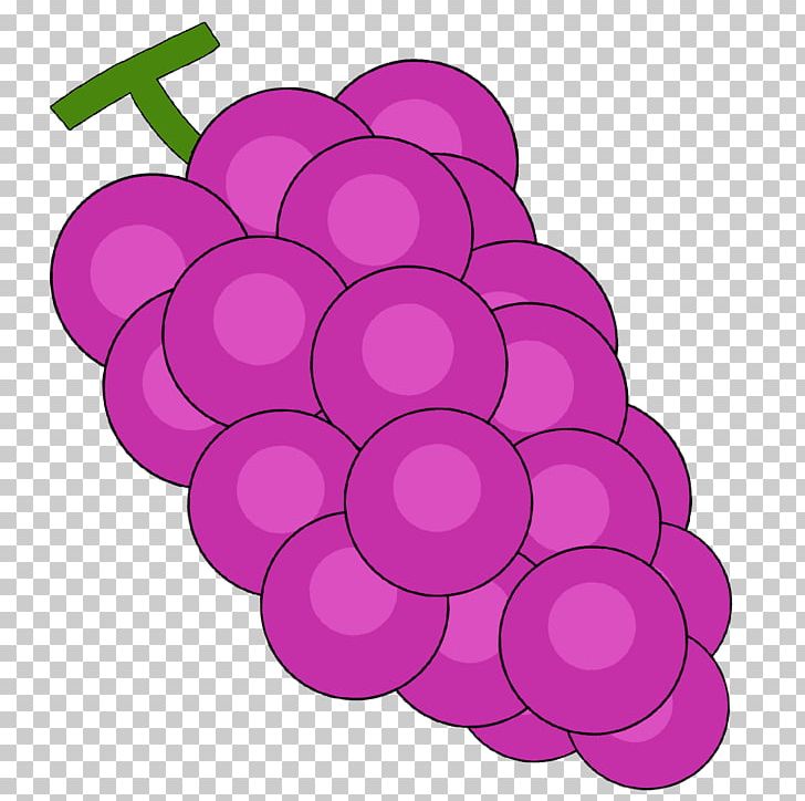 Grape Illustration Muscat PNG, Clipart, Circle, Dictionary, Flower, Flowering Plant, Food Free PNG Download