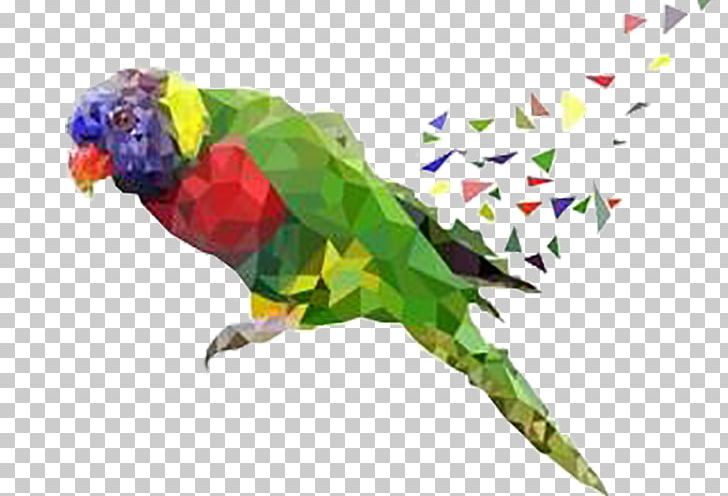 Parrot Lovebird PNG, Clipart, Animals, Beak, Beautiful, Bird, Common Pet Parakeet Free PNG Download