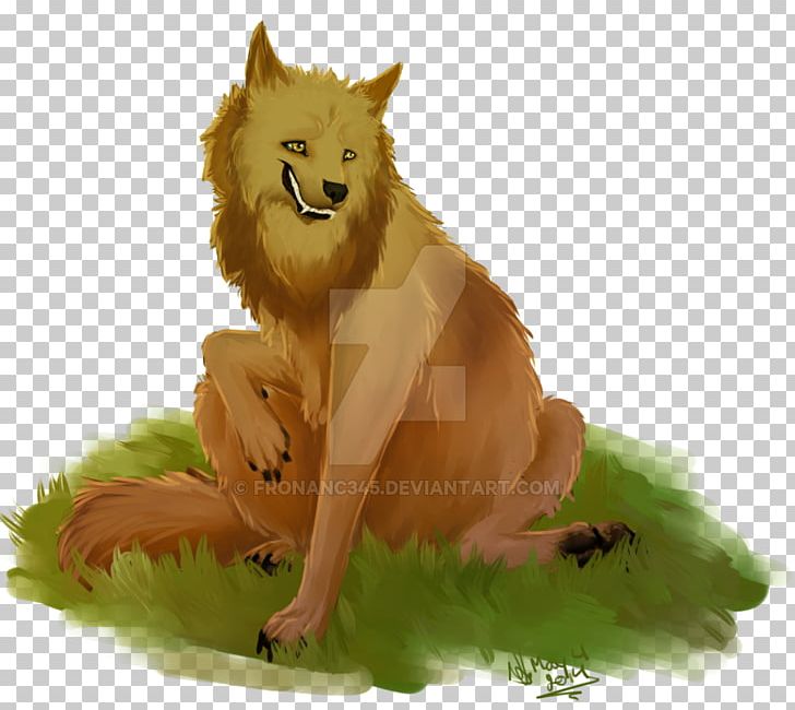 Pomeranian Red Fox Fur Snout PNG, Clipart, Animals, Carnivoran, Dog, Dog Like Mammal, Fauna Free PNG Download