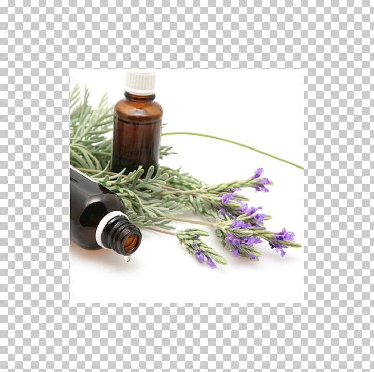 Lavender Oil Essential Oil Fragrance Oil PNG, Clipart, Amber, Aromatherapy, Bath Salts, Black, Cananga Odorata Free PNG Download