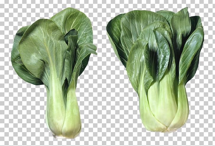 Vietnamese Cuisine Chinese Cabbage Leaf Vegetable PNG, Clipart, Bok Choy, Brassica, Cabbage, Chard, Food Free PNG Download