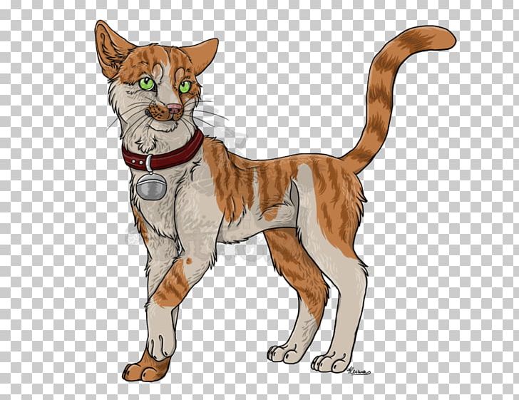 Whiskers Tiger Wildcat Canidae PNG, Clipart, Animals, Big Cats, Canidae, Carnivoran, Cartoon Free PNG Download