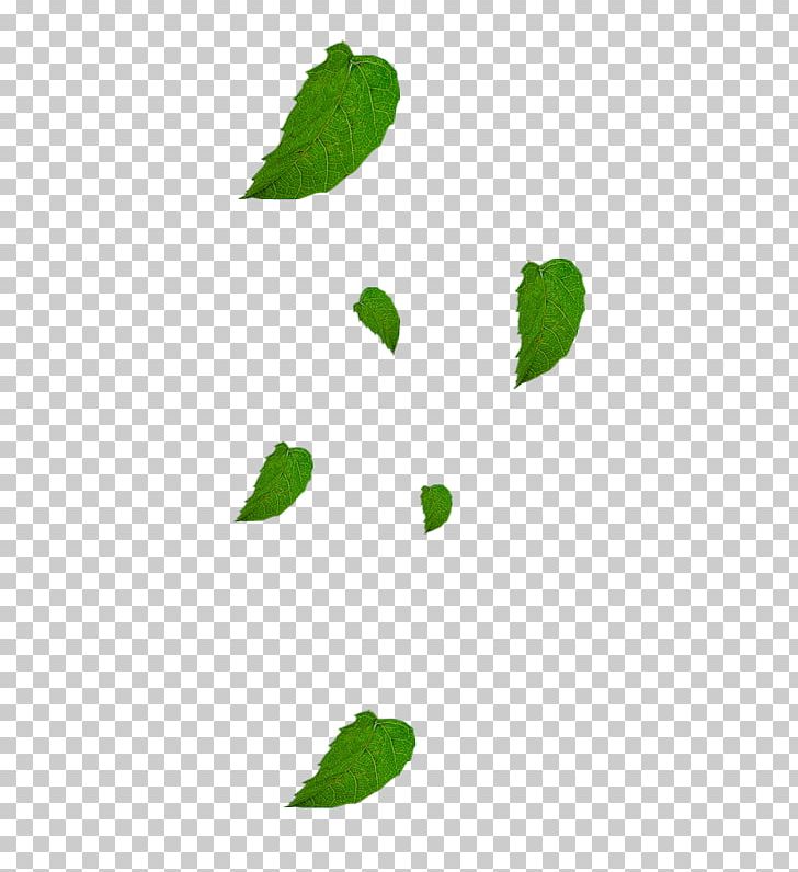 Area Leaf Pattern PNG, Clipart, Area, Background Green, Branch, Fall Leaves, Grass Free PNG Download