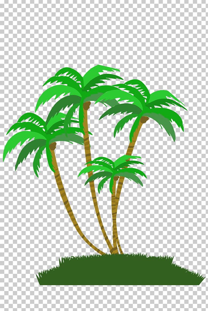 Arecaceae Hawaii Hula Illustrator Poster PNG, Clipart, Aquarium Decor, Arecaceae, Arecales, Branch, Flowering Plant Free PNG Download