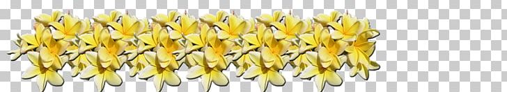 Flower Plumeria Alba Plant Exotic Plumeria PNG, Clipart, Commodity, Creation, Deco, Exotic, Exotic Plumeria Free PNG Download