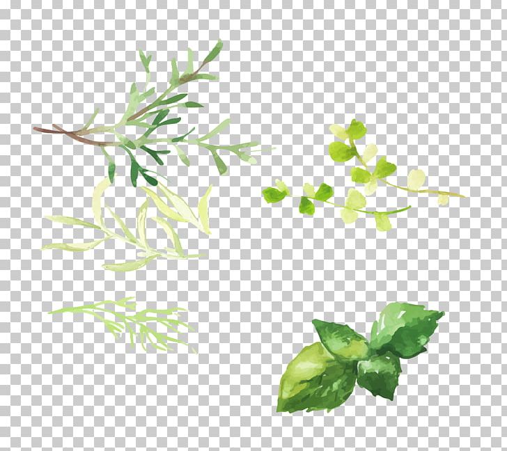 Hand Painted Grass PNG, Clipart, Botany, Branch, Deco, Decorate, Design Free PNG Download