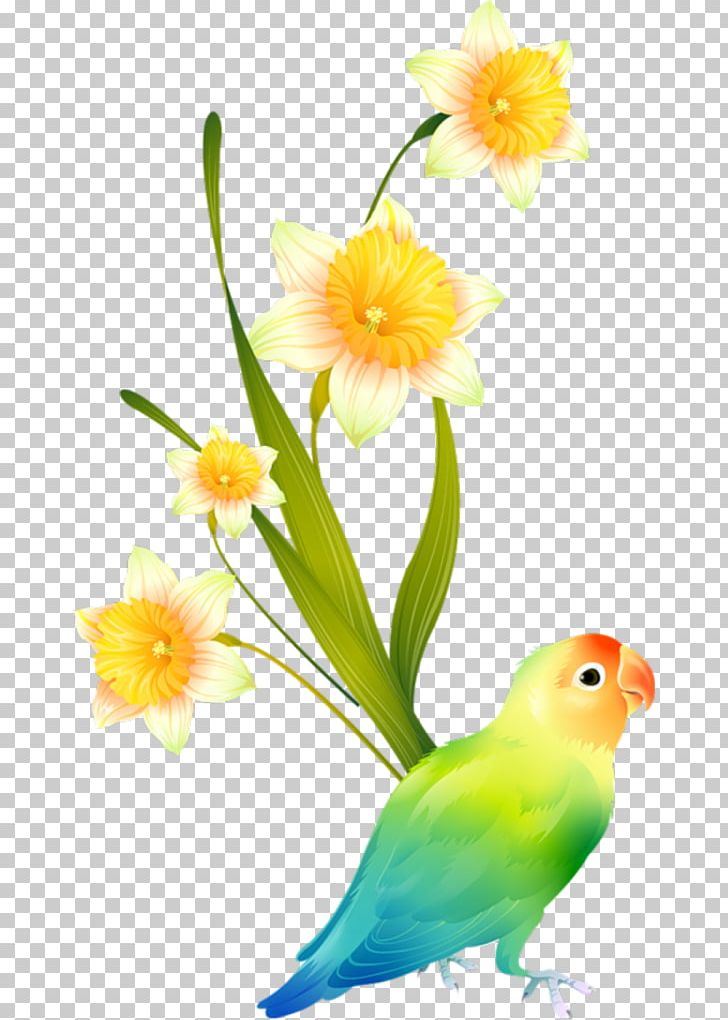 Parakeet Drawing Can Stock Photo PNG, Clipart, Beak, Bird, Can Stock Photo, Colorful, Common Pet Parakeet Free PNG Download