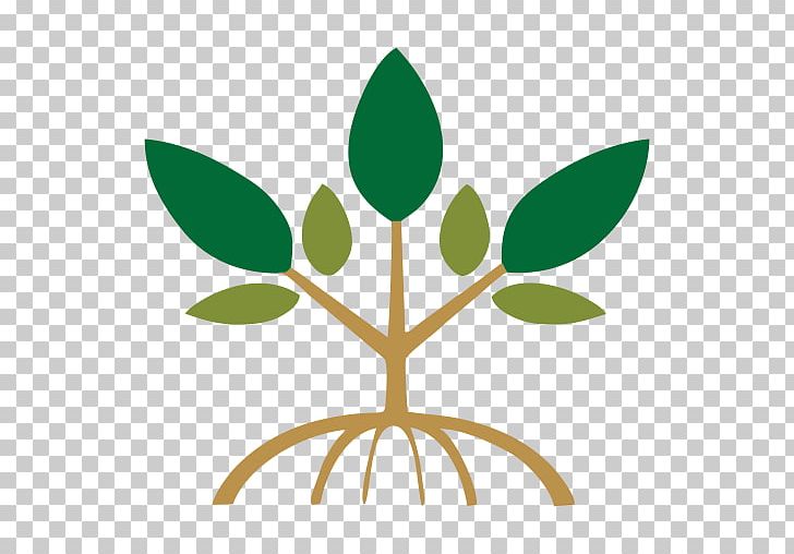Plant Stem Leaf Flower PNG, Clipart, Branch, Branching, Flora, Flower, Leaf Free PNG Download
