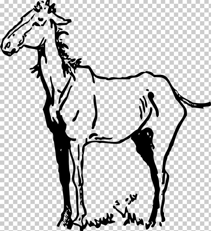 American Quarter Horse Friesian Horse Equestrian PNG, Clipart, Black, Bridle, Collection, Fauna, Fictional Character Free PNG Download