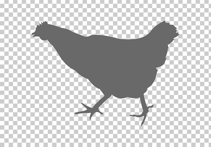 Chicken Graphics Silhouette The Broad PNG, Clipart, Animals, Beak, Bird, Black And White, Broad Free PNG Download