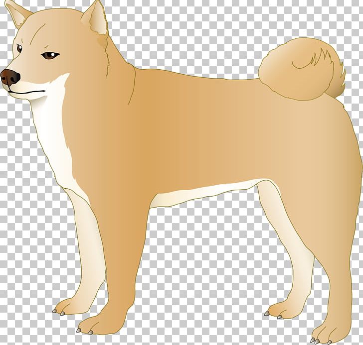 Finnish Spitz Canaan Dog Puppy Dog Breed PNG, Clipart, 2017, Advertising, Animals, Bilder, Breed Free PNG Download