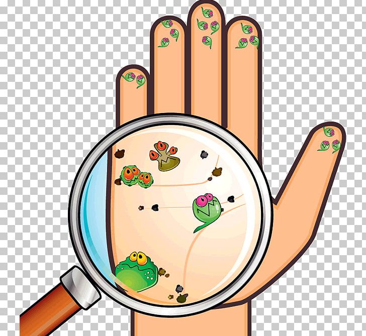 Hand Hygiene Washing Bacteria PNG, Clipart, Area, Bacteria, Germ Theory Of Disease, Hand, Health Free PNG Download