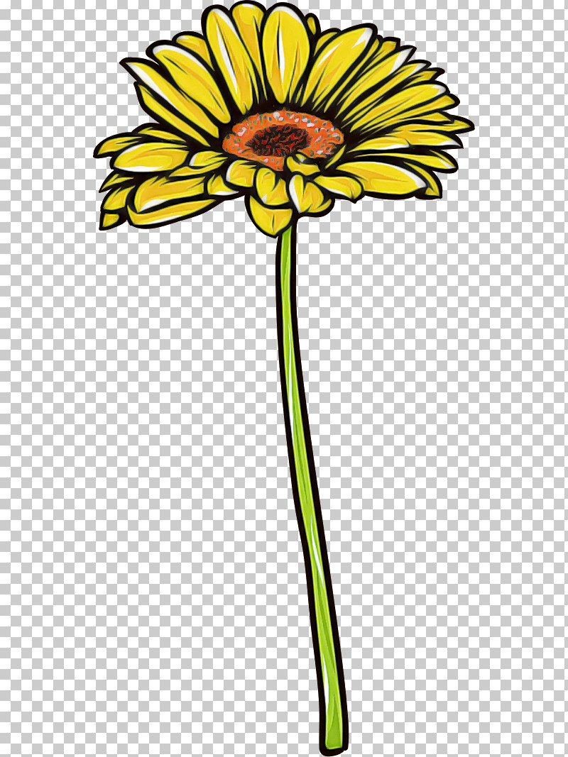 Gerbera Daisy Marguerite PNG, Clipart, Biology, Cut Flowers, Daisy, Floral Design, Flower Free PNG Download