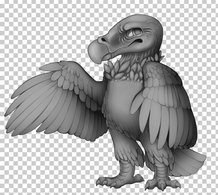 Bearded Vulture Egyptian Vulture Weasels Bird Of Prey PNG, Clipart, Beak, Bearded Vulture, Bird, Bird Of Prey, Black And White Free PNG Download