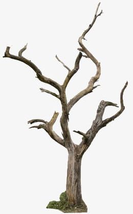 Deadwood PNG, Clipart, Branches, Deadwood Clipart, Dry, Dry Twigs, Trees Free PNG Download