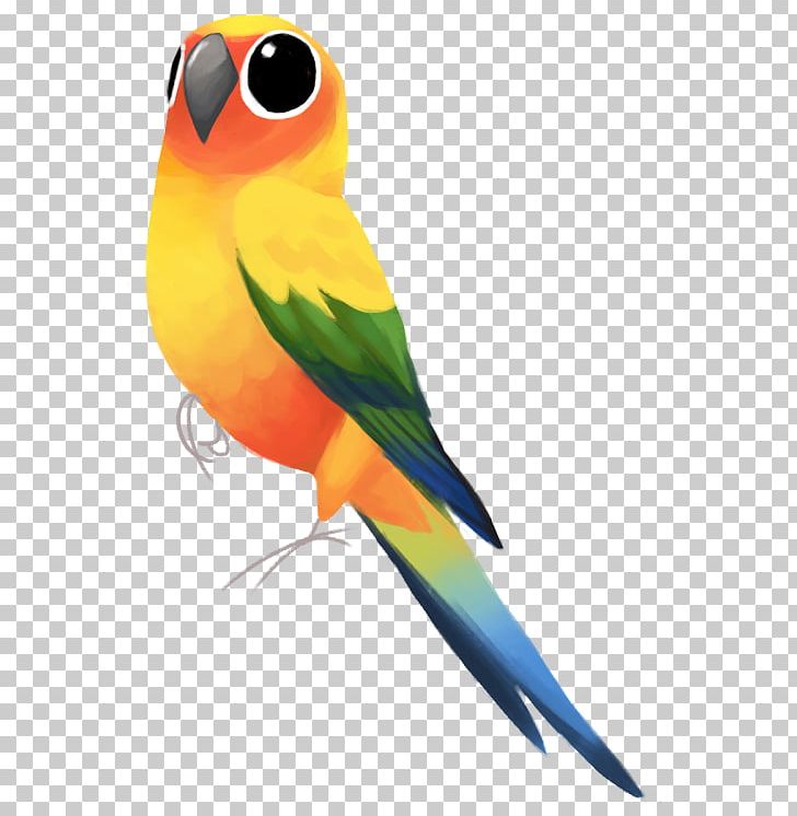 Lovebird Macaw Parakeet Feather Beak PNG, Clipart, Animals, Beak, Bird, Common Pet Parakeet, Feather Free PNG Download