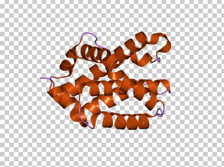 Bcl-2 Homologous Antagonist Killer Apoptosis Chromosome 6 Gene PNG, Clipart, Apoptosis, Bcl2, Bcl2 Homologous Antagonist Killer, Cell, Chromosome Free PNG Download
