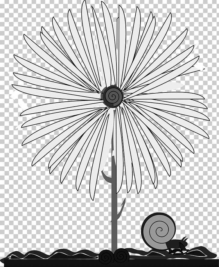 Flower Common Daisy Borders And Frames Yellow PNG, Clipart, Black And White, Borders And Frames, Branch, Common Daisy, Daisy Family Free PNG Download