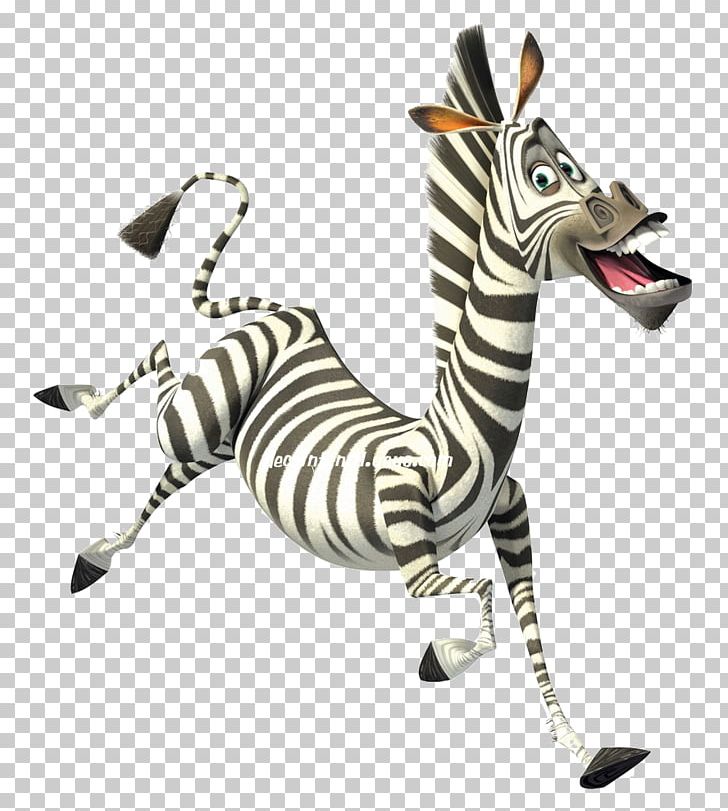 Marty Alex Melman Madagascar: Escape 2 Africa YouTube PNG, Clipart,  Free PNG Download