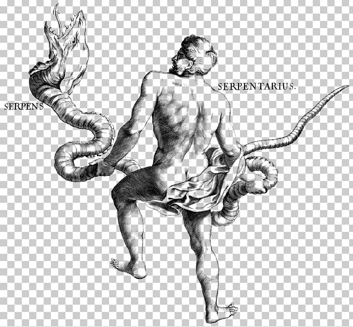 Ophiuchus Asclepius Asclepios Medical Centre PNG, Clipart, Arm, Art, Asclepius, Astrological Sign, Carnivoran Free PNG Download