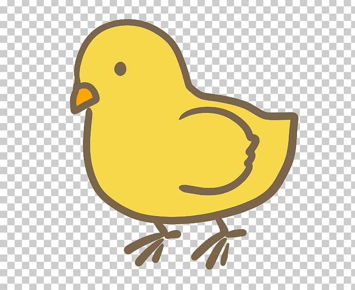 Chicken Kifaranga Cygnini Penguin Bird PNG, Clipart, Animals, Beak, Bird, Chick, Chicken Free PNG Download