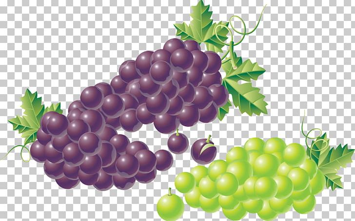 Kyoho Juice Grape Fruit PNG, Clipart, Berry, Cartoon, Encapsulated Postscript, Food, Fruit Free PNG Download