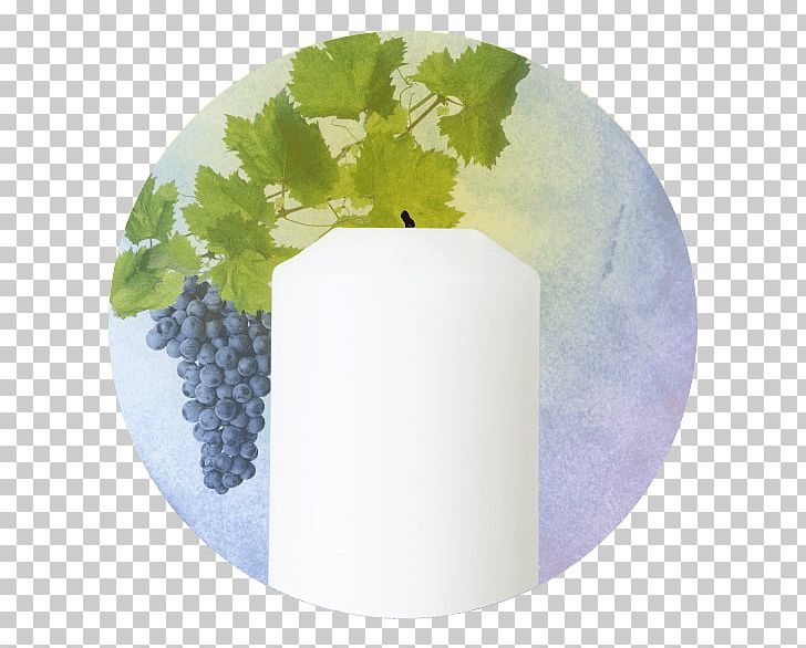 Common Grape Vine Grape Leaves Wine PNG, Clipart, Common Grape Vine, Depositphotos, Fruit, Fruit Nut, Grape Free PNG Download