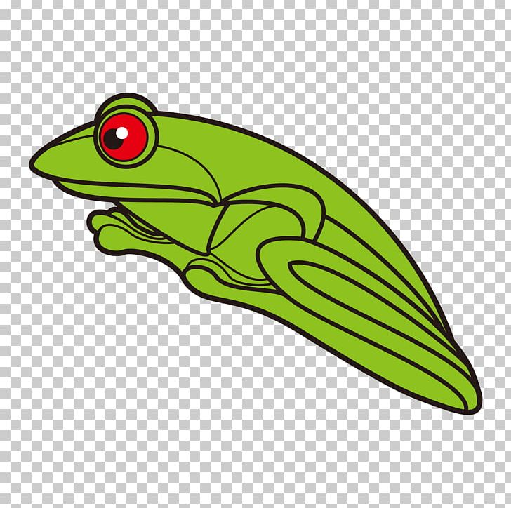 Tree Frog PNG, Clipart, Amphibian, Animal, Animals, Background Green, Download Free PNG Download