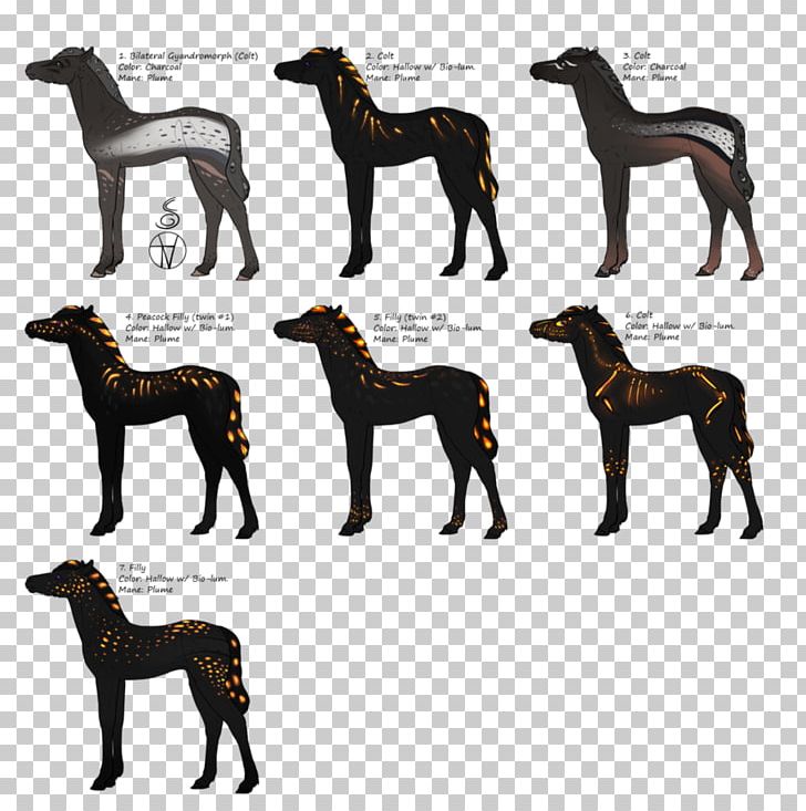 Canidae Cat Horse Dog Mammal PNG, Clipart, Animal, Animals, Canidae, Carnivoran, Cat Free PNG Download