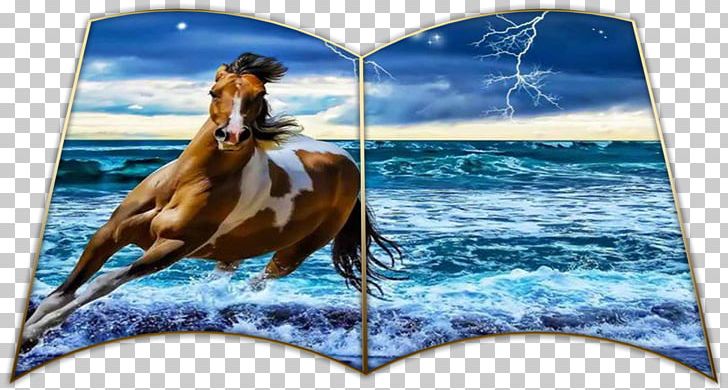 Sea Horse Wind Wave Animal GreatAmerica Financial Services PNG, Clipart, Animal, Bitje, Card Designs, Computer, Desktop Wallpaper Free PNG Download