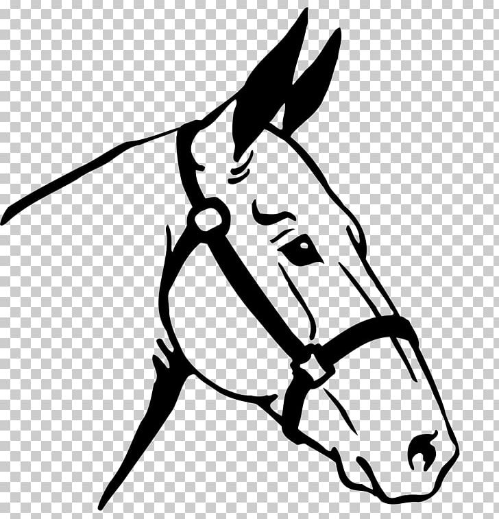 Thoroughbred Stallion Equestrian Draft Horse PNG, Clipart, Artwork, Black, Dressage, Fictional Character, Head Free PNG Download