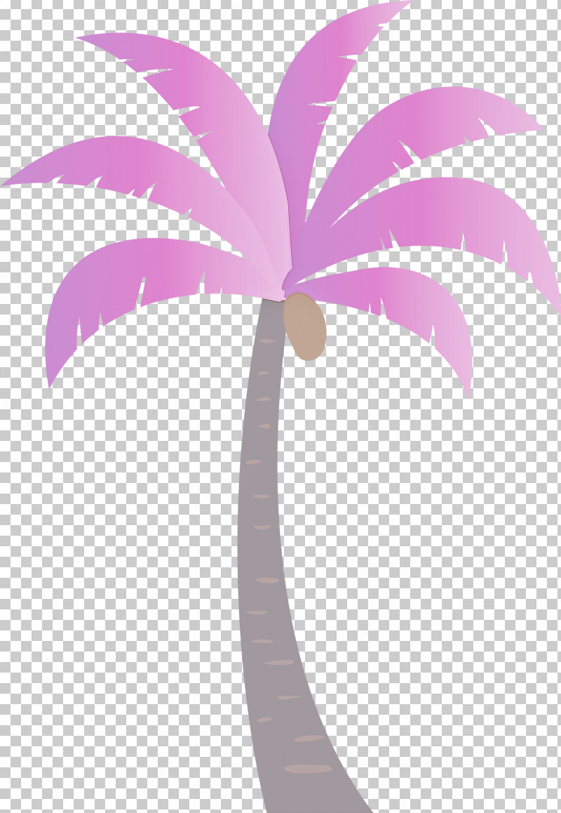 Palm Trees PNG, Clipart, Archontophoenix, Archontophoenix Cunninghamiana, Areca Palm, Beach, Cartoon Tree Free PNG Download