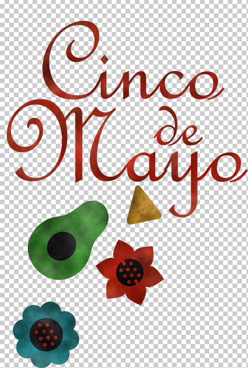 Cinco De Mayo Fifth Of May PNG, Clipart, Biology, Cambodia, Christmas Day, Cinco De Mayo, Cut Flowers Free PNG Download