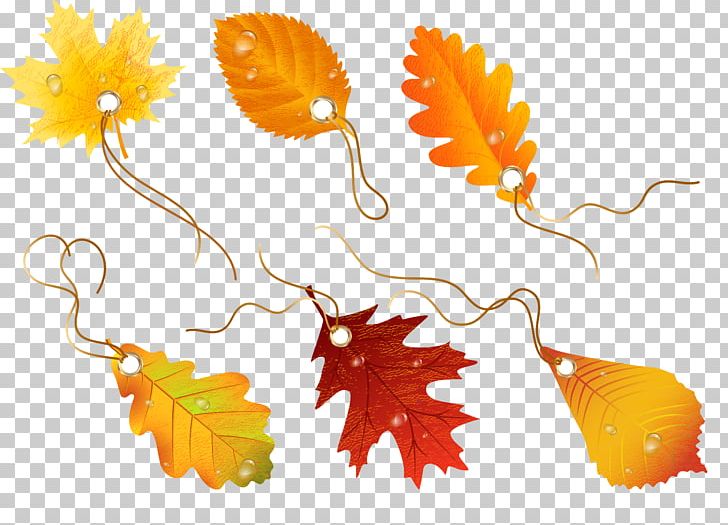 Autumn Leaves Drawing PNG, Clipart, Advertising, Autumn, Autumn Leaf Color, Autumn Leaves, Discount Free PNG Download