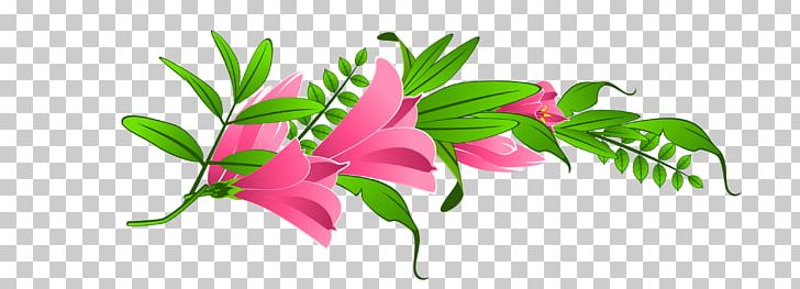 Pink Flowers Fuchsia PNG, Clipart, Branch, Bud, Carnation, Clip Art, Cut Flowers Free PNG Download