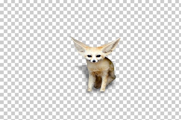 Red Fox Animal PNG, Clipart, 3d Animation, Adobe Illustrator, Animals, Animation, Anime Character Free PNG Download