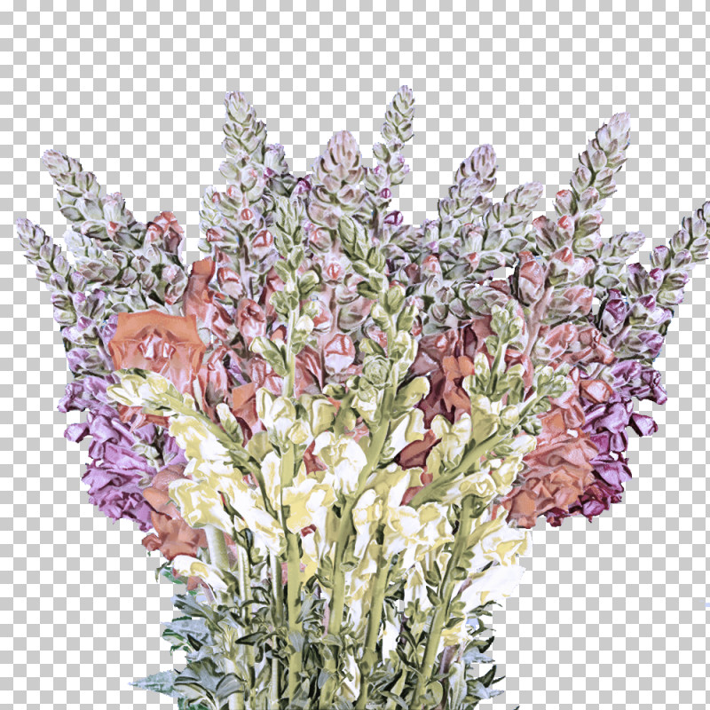Floral Design PNG, Clipart, Aquarium Decor, Cartoon, Drawing, English Lavender, Floral Design Free PNG Download