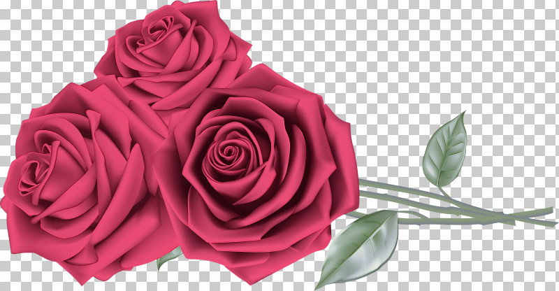 Garden Roses PNG, Clipart, Bouquet, Camellia, China Rose, Cut Flowers, Floribunda Free PNG Download