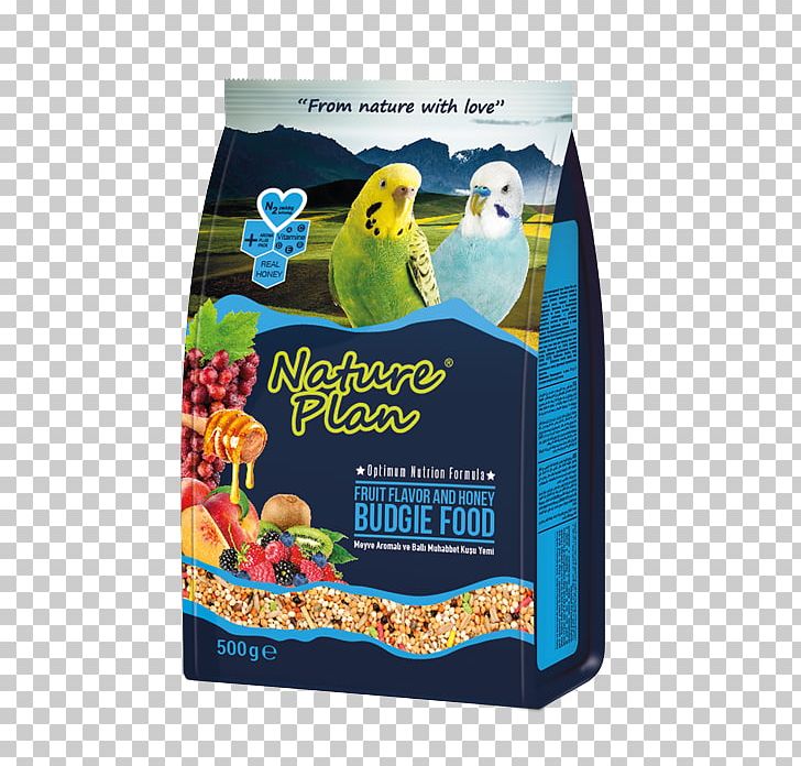 Budgerigar Bird Food Atlantic Canary Fodder PNG, Clipart, Animal, Animals, Atlantic Canary, Auglis, Bird Free PNG Download