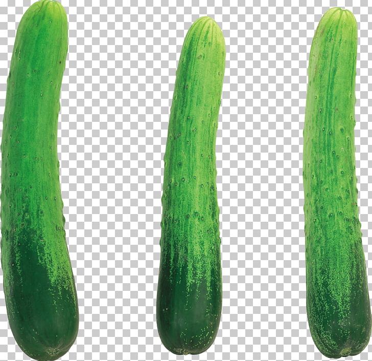 Cucumber Spreewald Gherkins Fruit PNG, Clipart, Camera, Carbs, Cucumber, Cucumber Gourd And Melon Family, Cucumis Free PNG Download