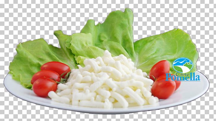 Milk Vegetarian Cuisine Cream Food Dairy Products PNG, Clipart, Beyaz Peynir, Buffalo Milk, Cheese, Cream, Cuisine Free PNG Download