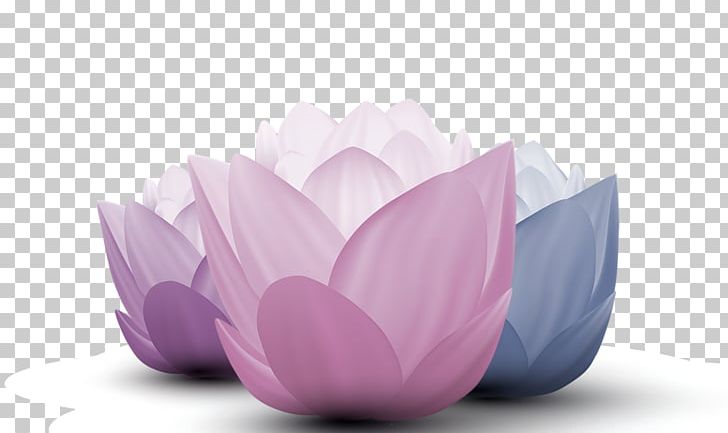 Nelumbo Nucifera PNG, Clipart, Download, Encapsulated Postscript, Exquisite, Flower, Hand Free PNG Download